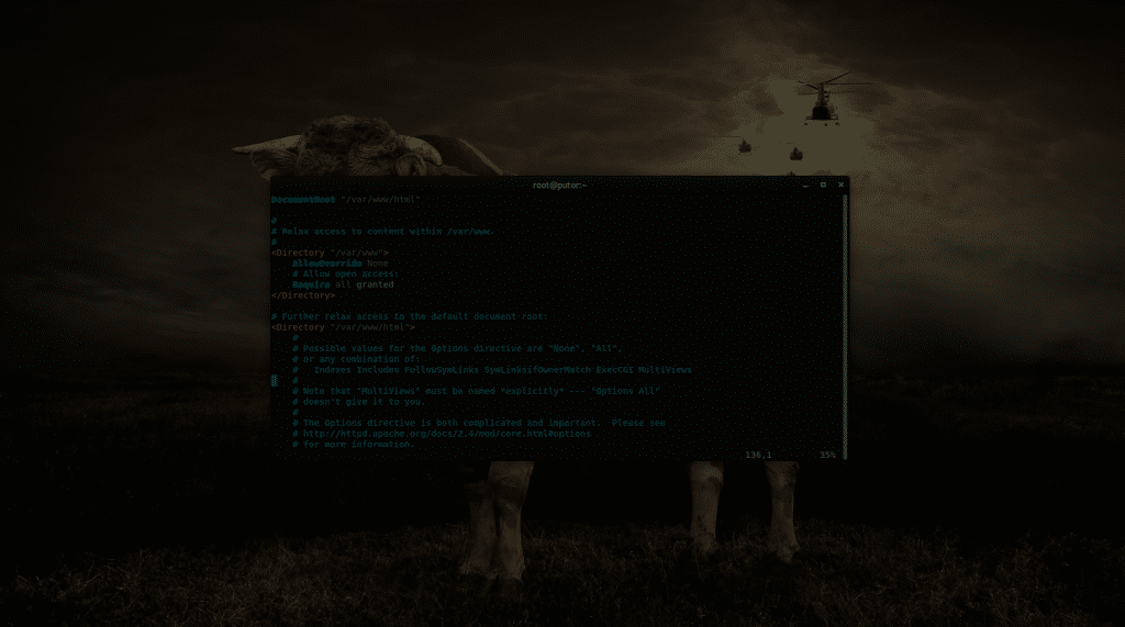 Linux Terminal on Wallpaper