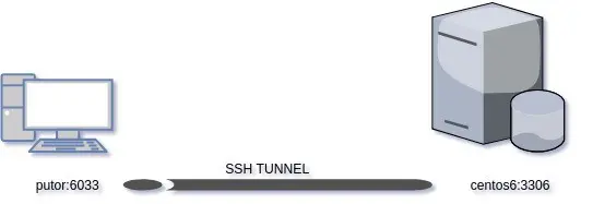 A diagram showing a basic example of SSH forwarding from a computer to a server