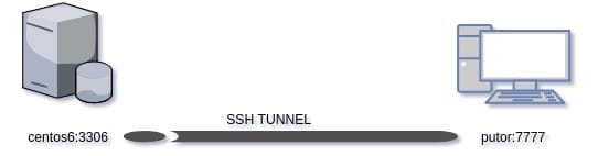 A diagram showing reverse ssh forwarding ports from a server to a workstation