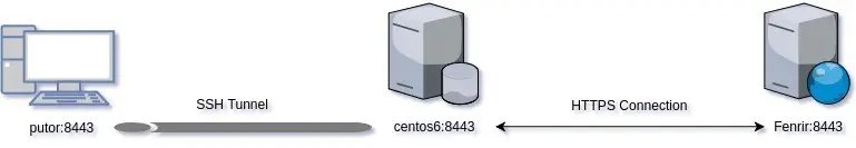 A diagram showing an example of SSH forwarding packets through a server to another server