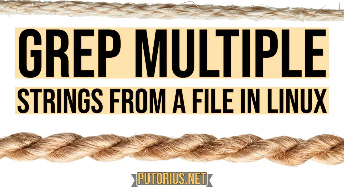Grep Multiple Strings or Patterns from a Text File in Linux