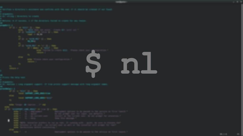 NL Command on Linux Terminal