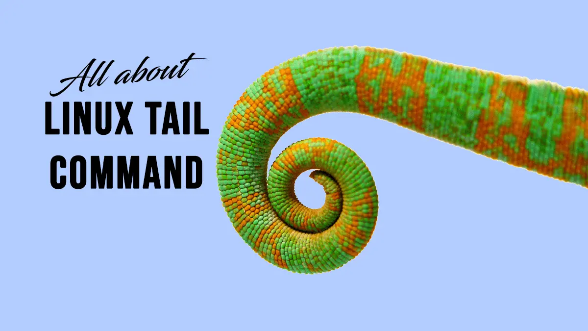 Tail Command - Output the Last Lines of Files