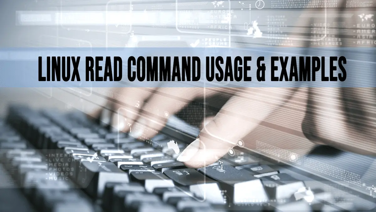 Read Command - Prompt User for Input in Bash Scripts