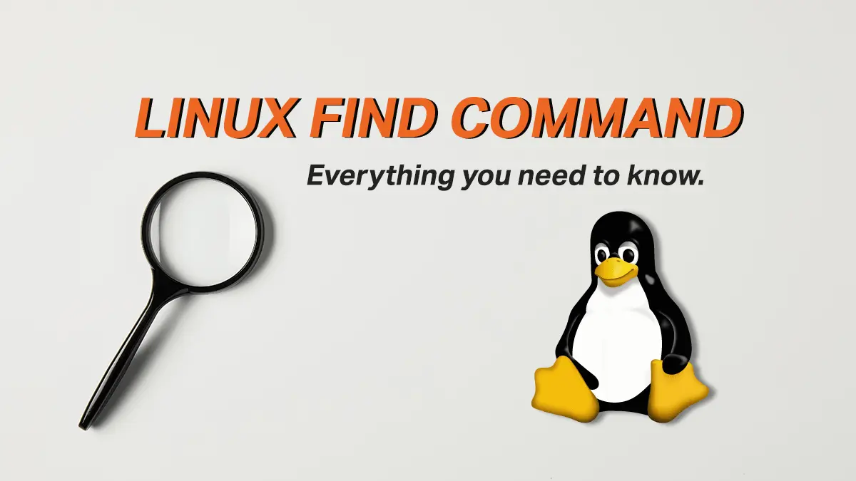 Find Command - Search for files on the Linux Command Line