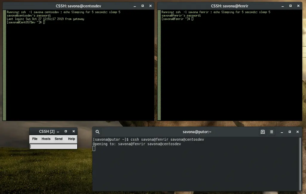 Screenshot showing clusterssh being used to open multiple terminal windows on Fedora Linux
