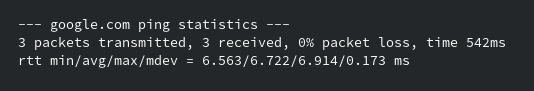 Ping command statistics output