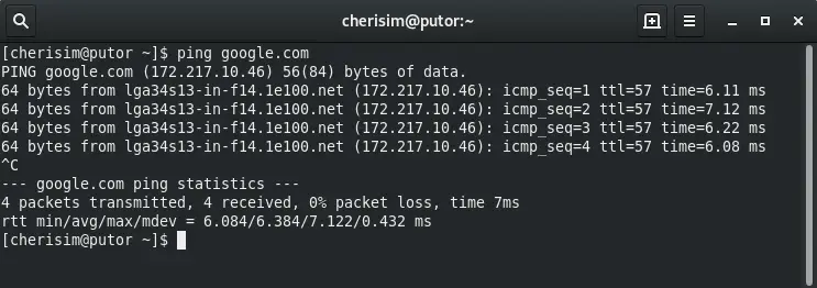 Screenshot of the Linux ping command successfully pinging google.com
