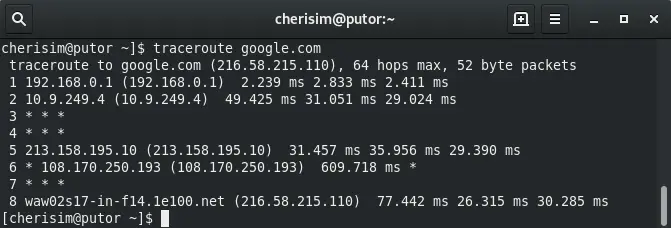 Screenshot of the Linux traceroute command being used.