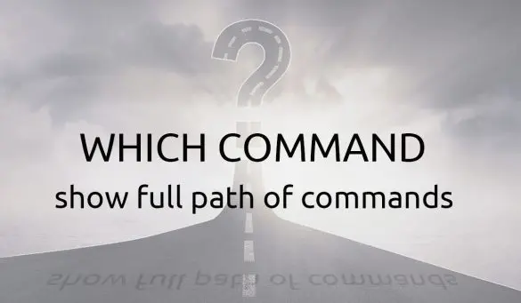 Linux Which Command