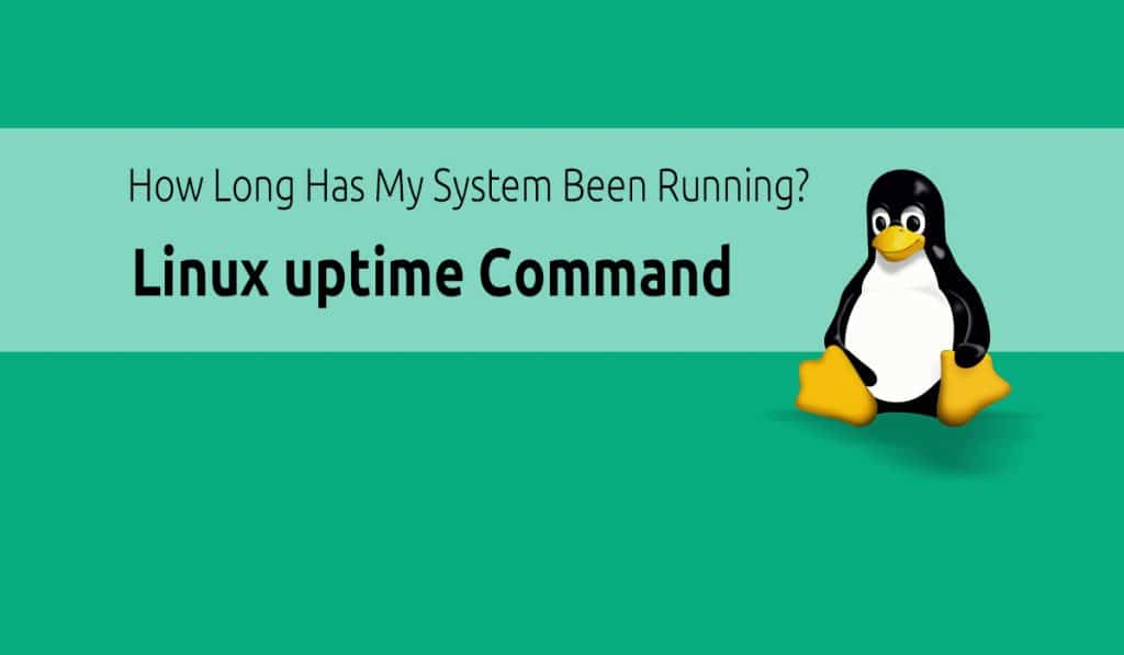 Linux Uptime Command