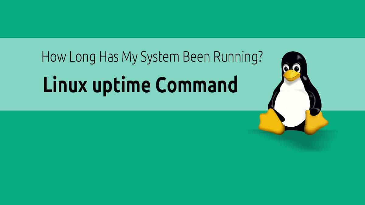 Uptime Command - How Long Has My System Been Running?