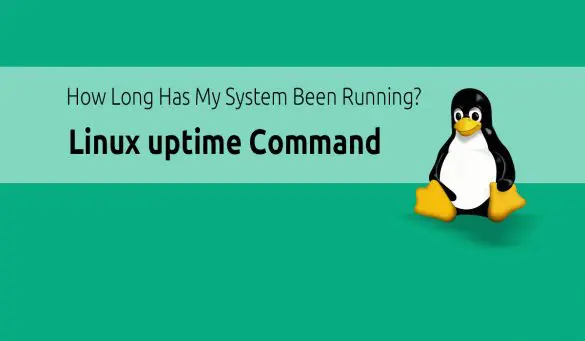 Linux Uptime Command
