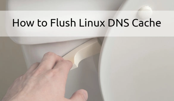 How to Flush Local DNS Cache on Linux