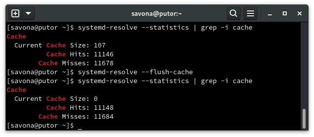 flush local dns cache using systemd-resolve on Linux